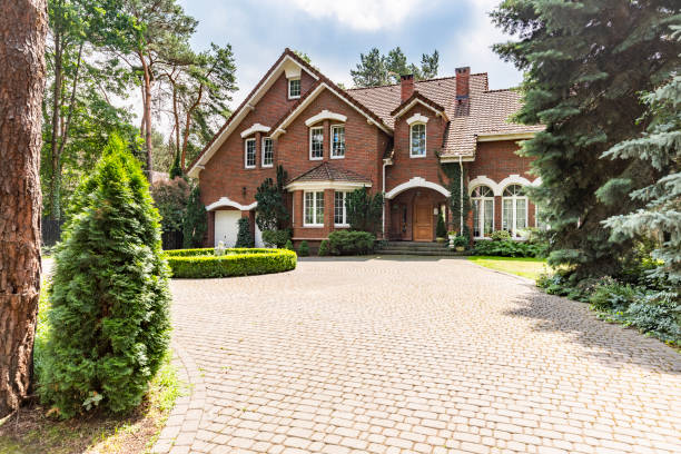 Best Local Driveway Pavers  in Wells, NV