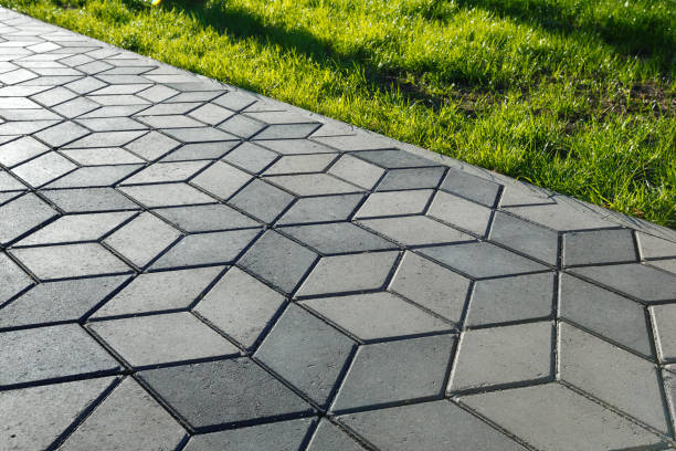Best Driveway Paving Company  in Wells, NV
