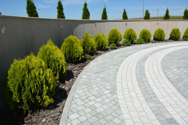 Best Best Driveway Pavers  in Wells, NV